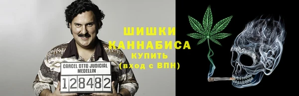 стаф Магас