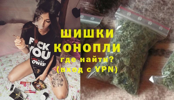 шишки Медногорск