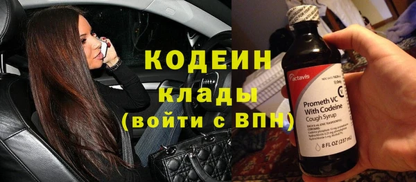 шишки Медногорск