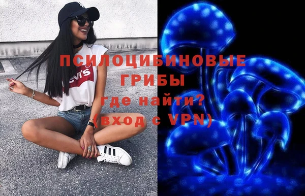 меф Медвежьегорск