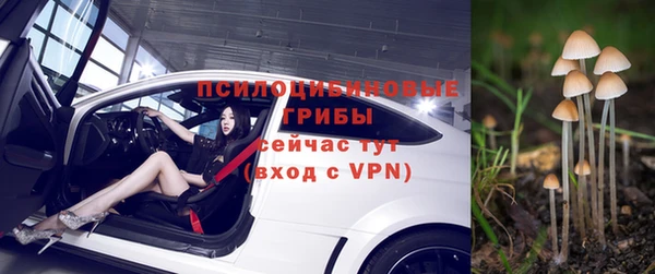 меф Медвежьегорск
