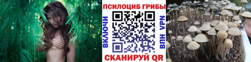 купить цена ОМГ ОМГ как войти Галлюциногенные грибы прущие грибы Неман